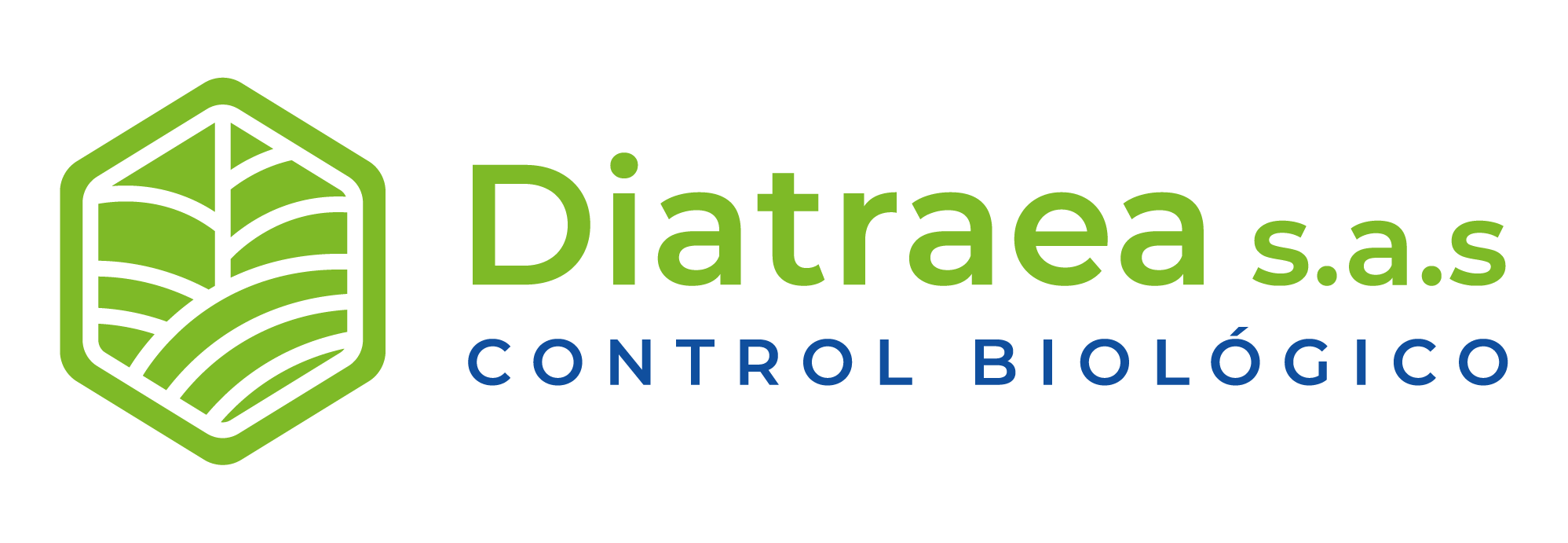 Diatraea